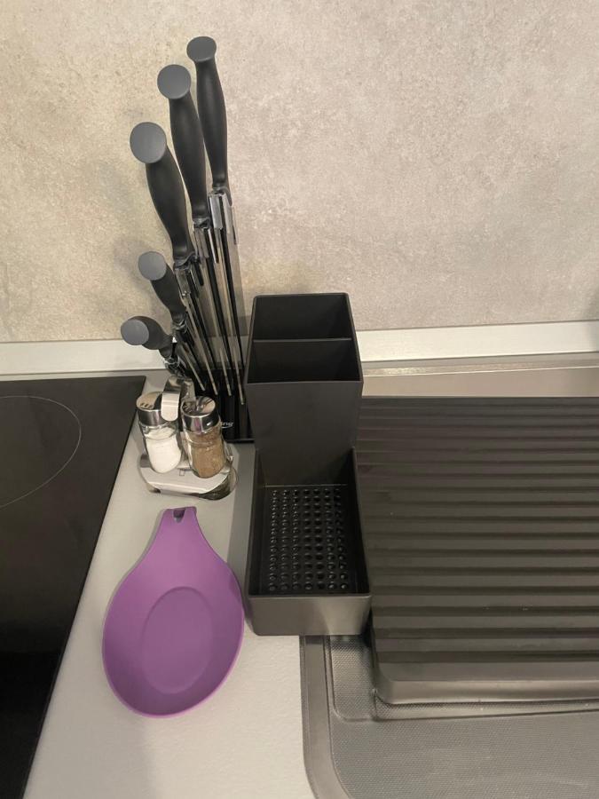 Castle Residence Apt. Zamorei Buşteni Εξωτερικό φωτογραφία